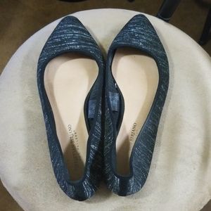 Black Stretch with Silver Flats Pointy Toe